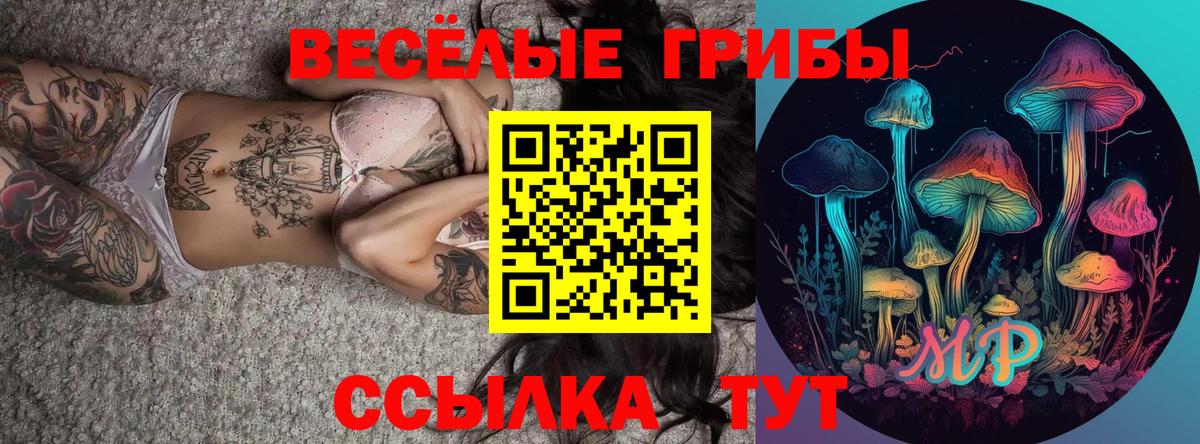 Лабинск  Псилоцибиновые грибы MAGIC MUSHROOMS  Вход с VPN 